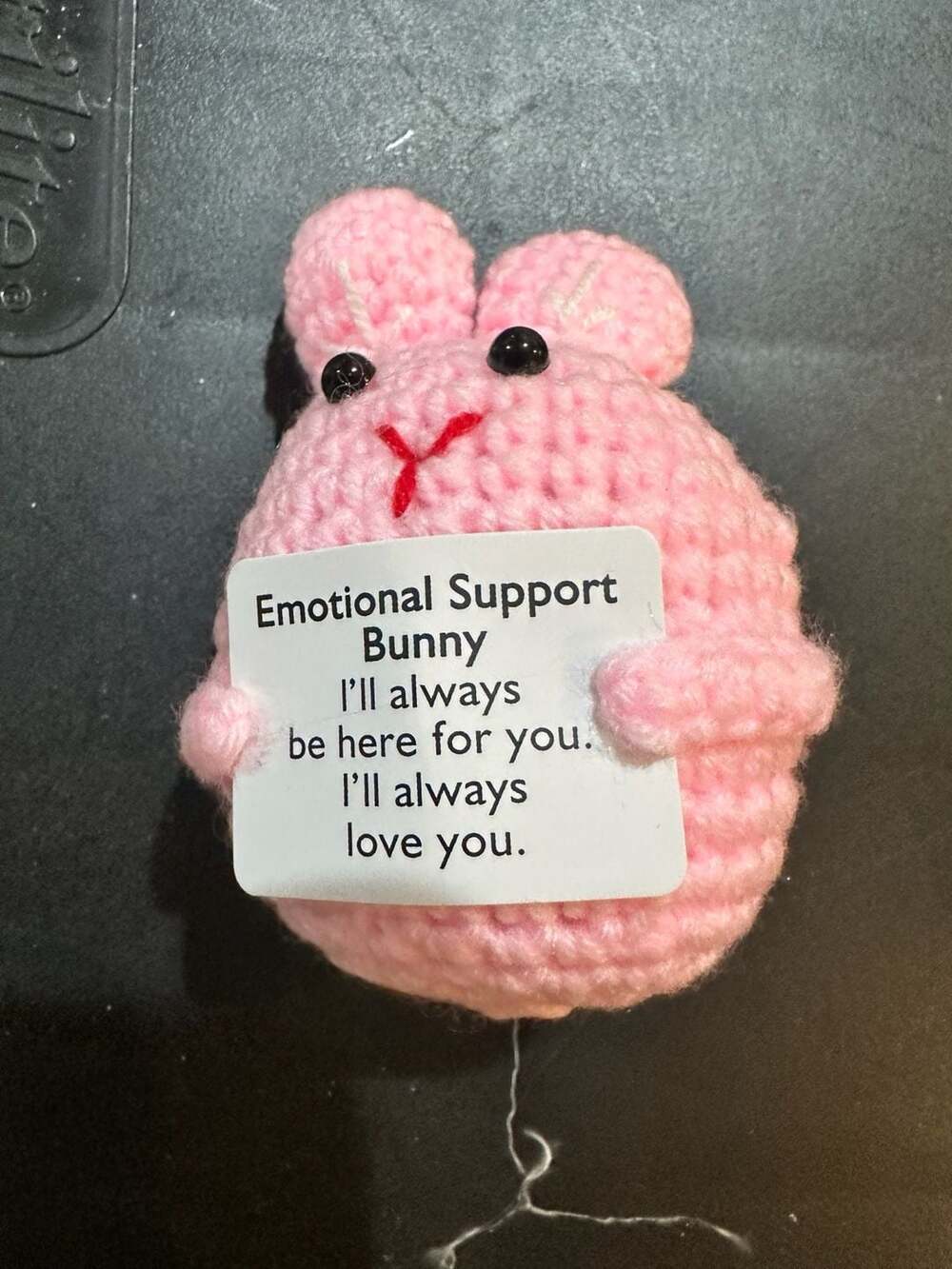 Handmade Crochet Emotional Support Bunny Plush with Inspirational Card